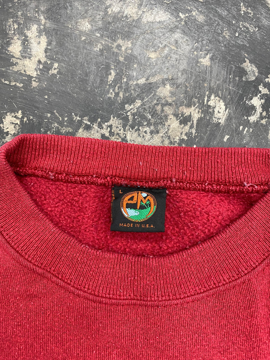 Vintage 90s South Carolina Gamecocks Sweatshirt Size Large