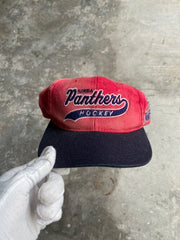 Vintage Florida Panthers Hat