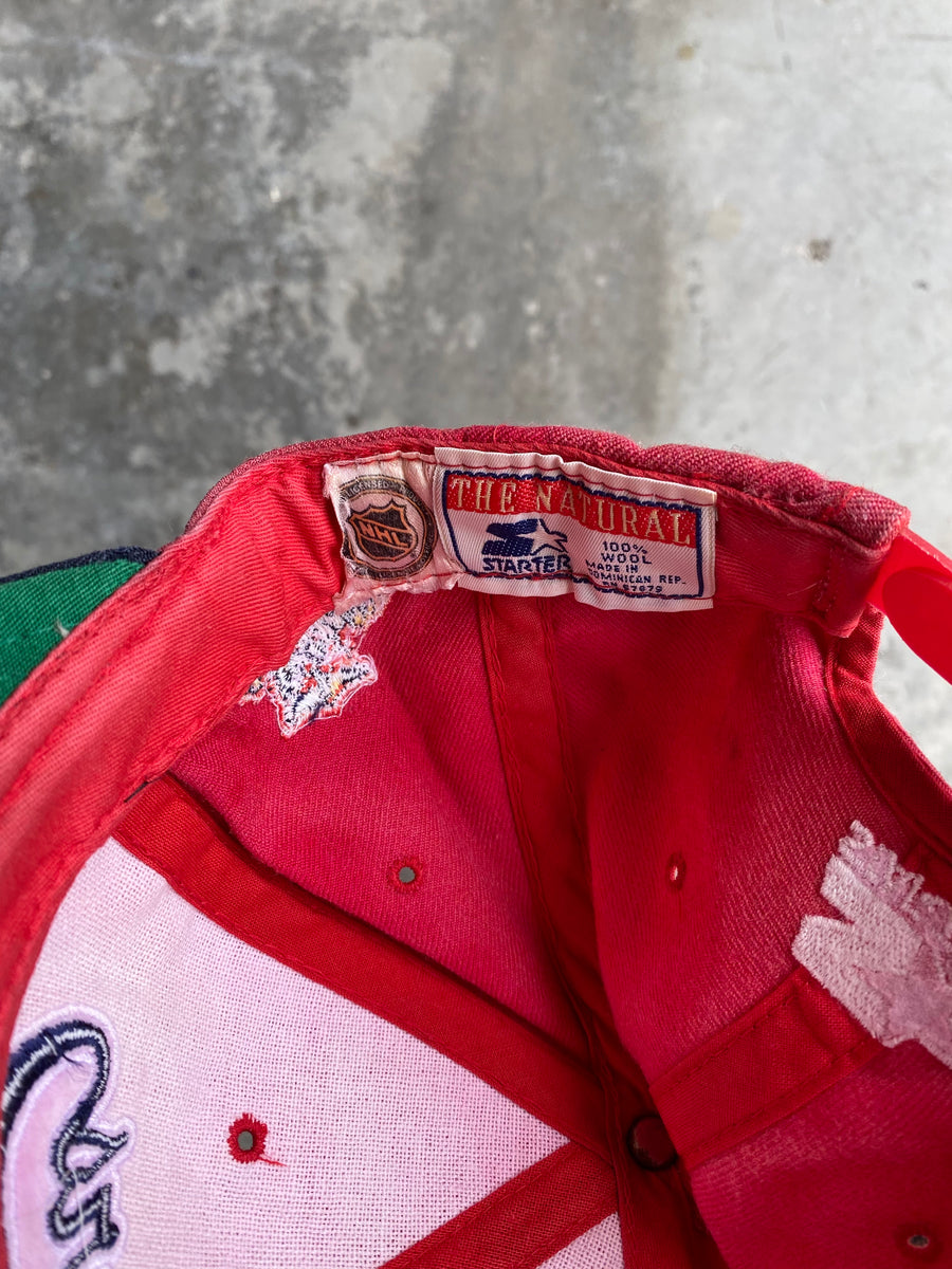 Vintage Florida Panthers Hat
